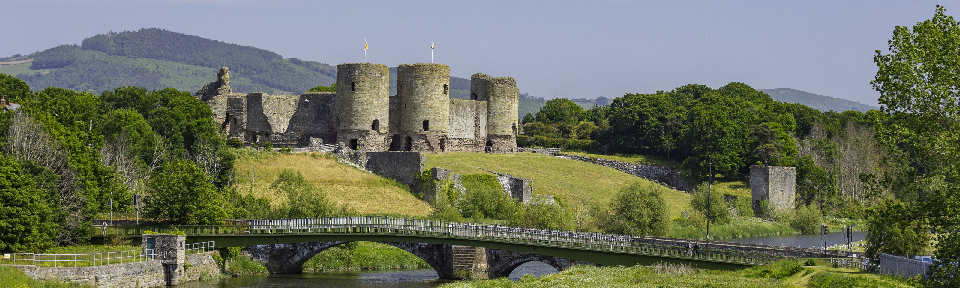 Aelodaeth Cadw / Cadw Membership