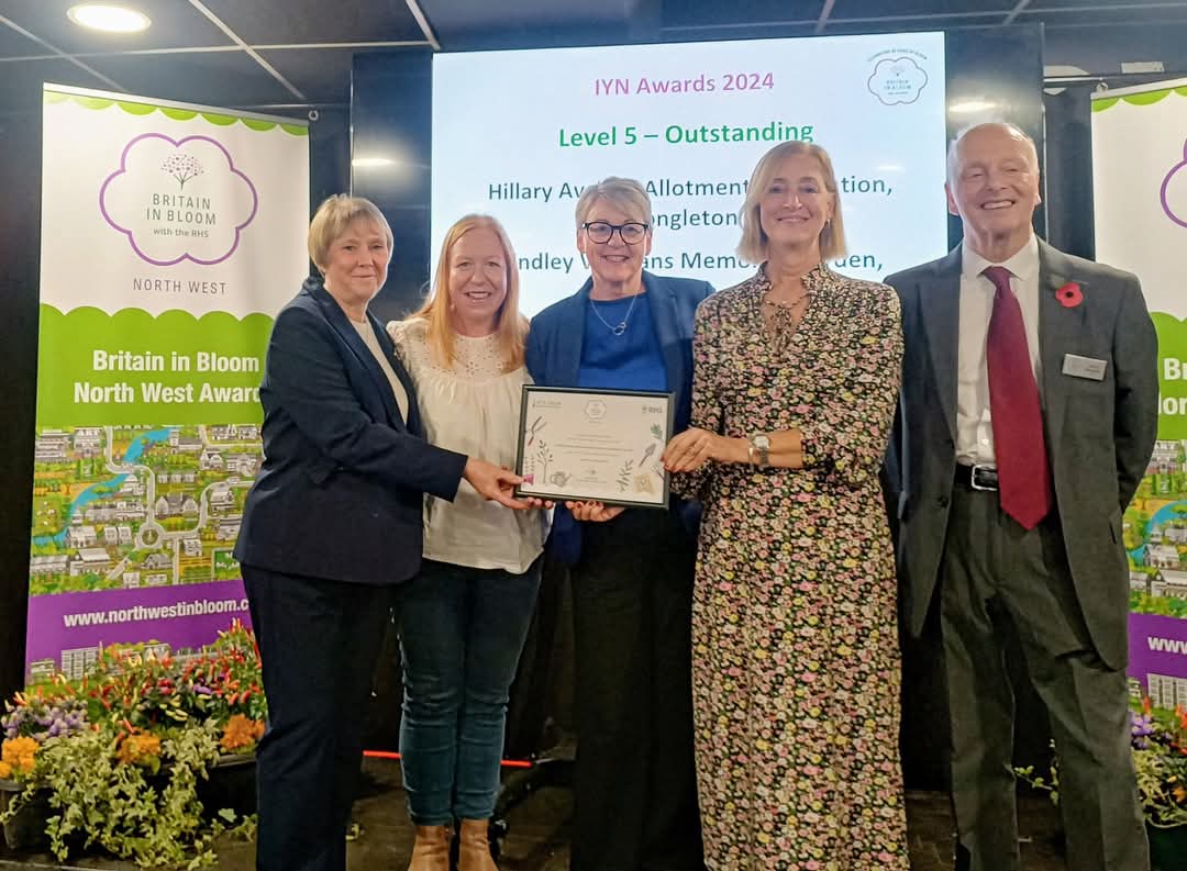 FB_IMG_1733419022057