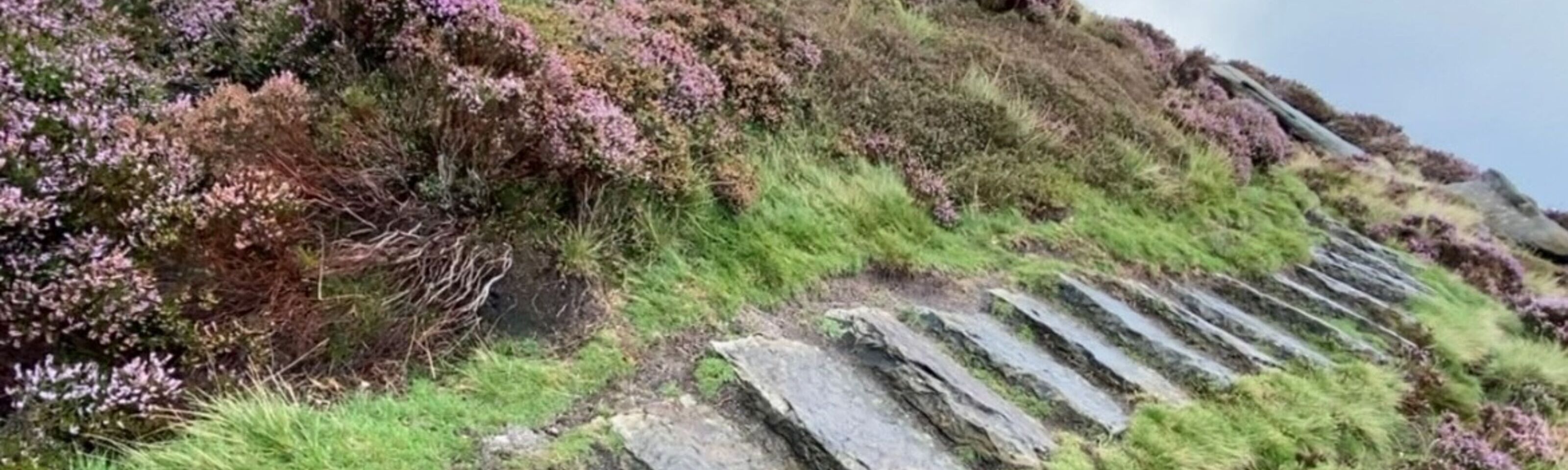 Derwent Edge - Strines Reservoir & Boots Folly Sunday 27thOctober