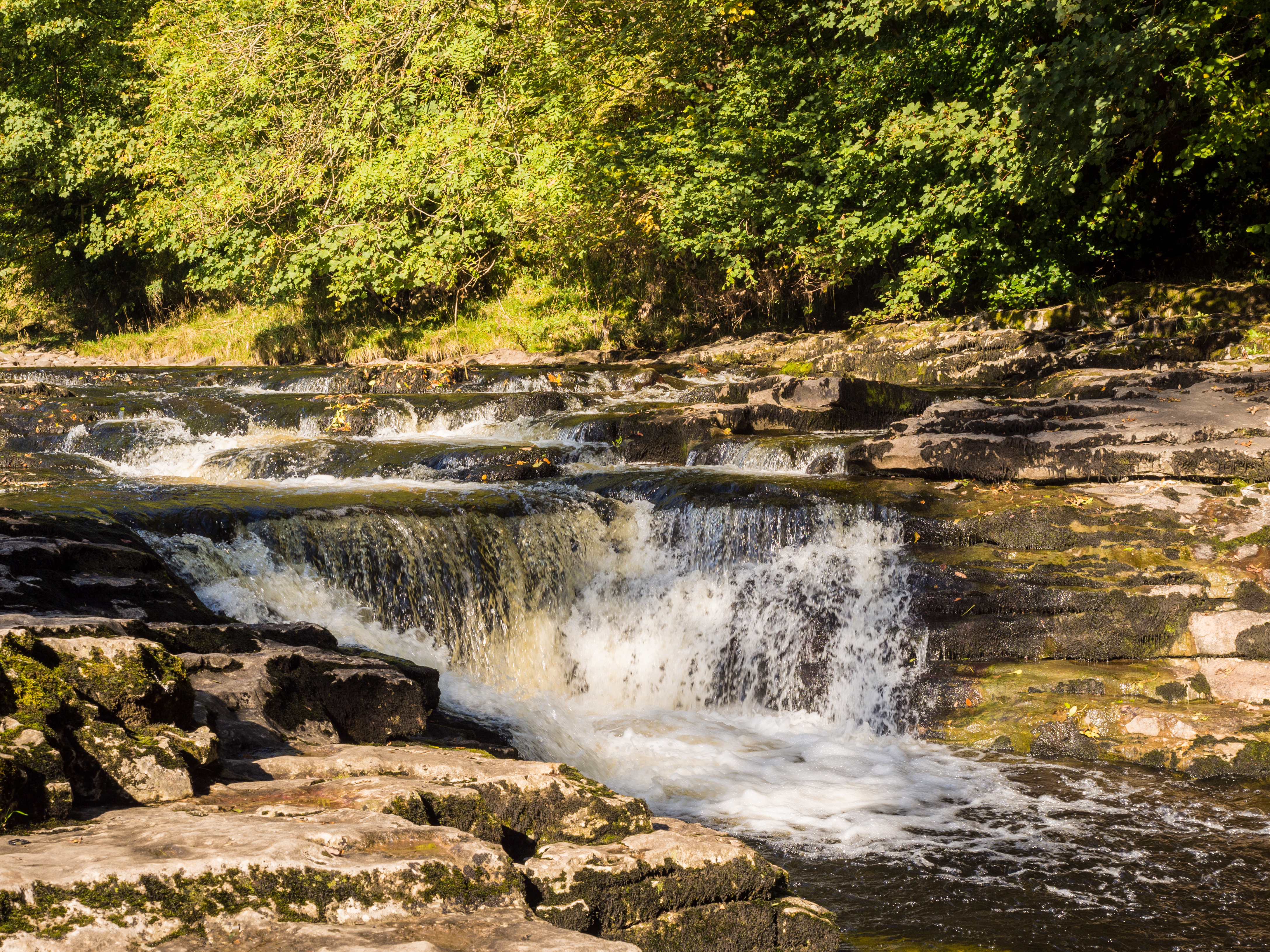 stainforth Force