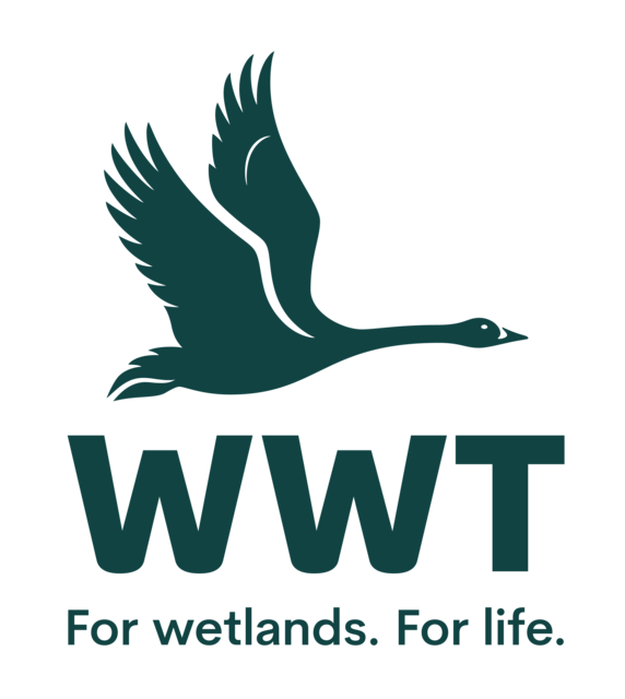 WWT